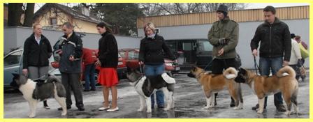   Krysty, Cappy, Dessi, Lucky